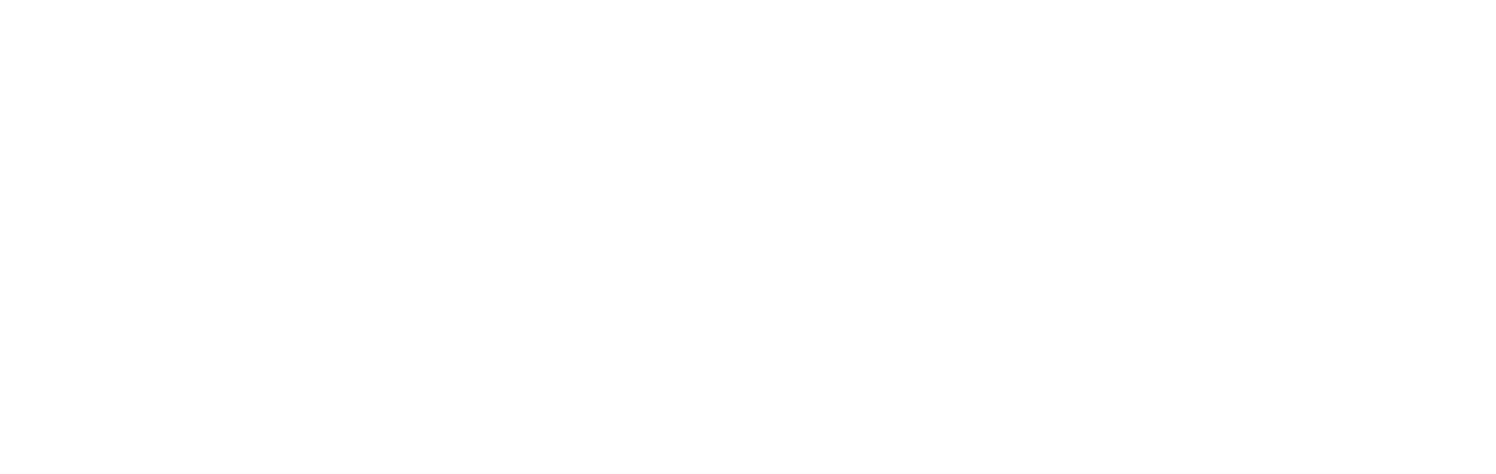 logo_CSV_BLANC