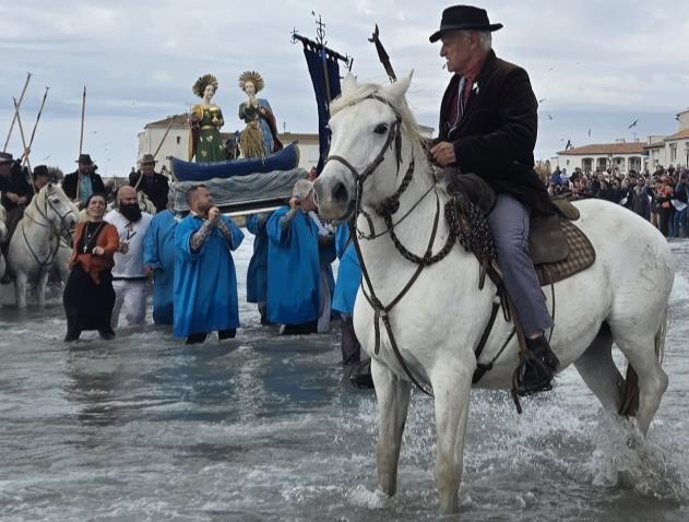 Camargue_cheval
